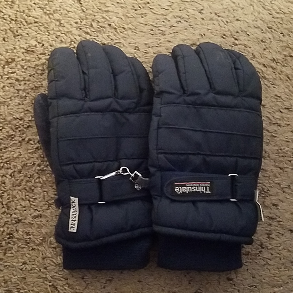 Thinsulate Gloves